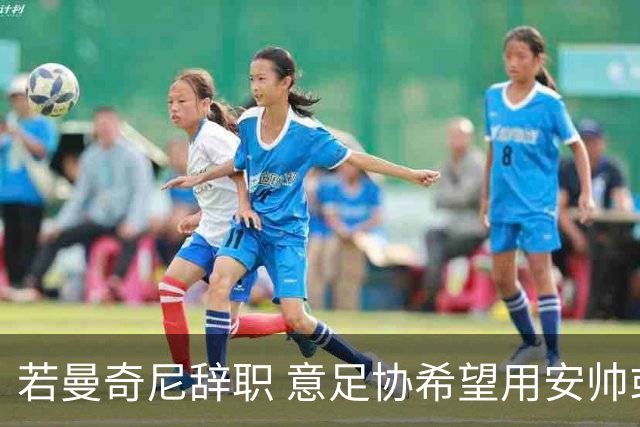 若曼奇尼辞职 意足协希望用安帅或卡纳瓦罗替代